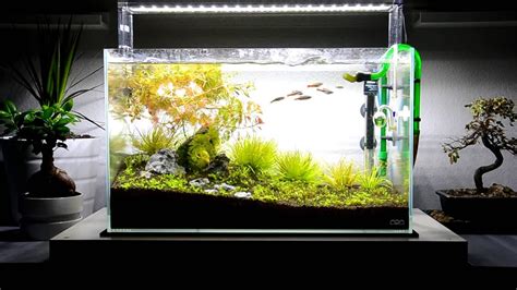 aquadesignamano .